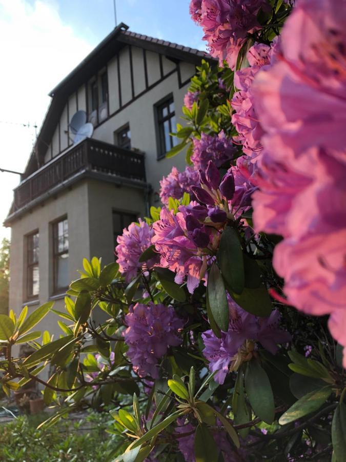 Apartmán Jodla I Modrzew Jelení Hora Exteriér fotografie